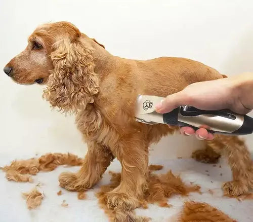 KIT CORTADORA DE PELO PARA MASCOTA + GRATIS UN ACEITE PARA LIMPIAR